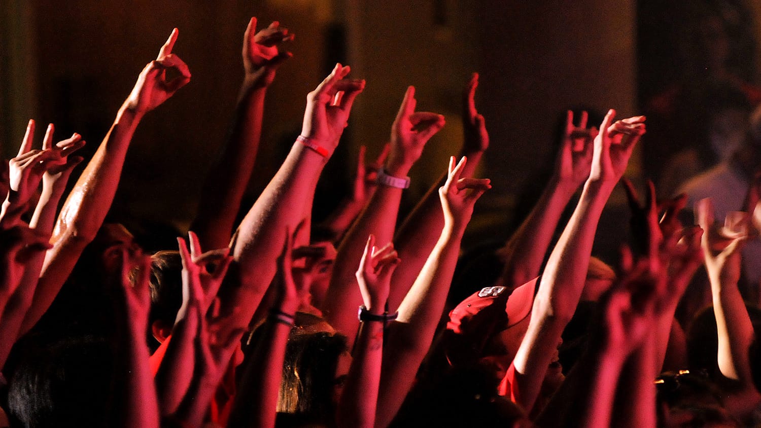 A crowd of hands holding up wolfies.