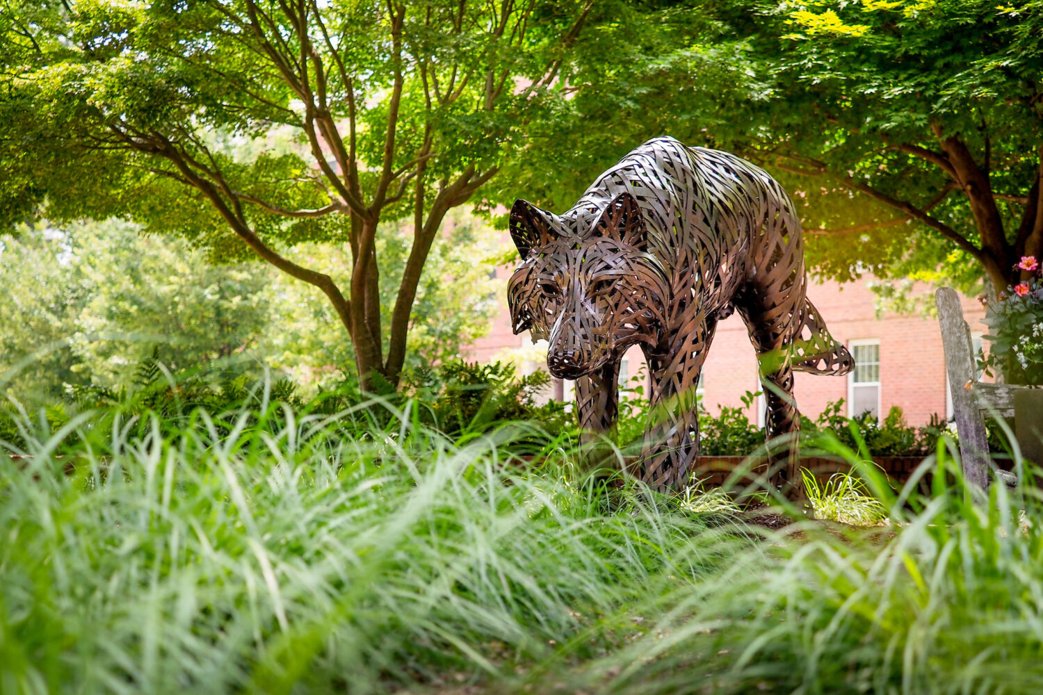 Copper wolf statue in tall grass