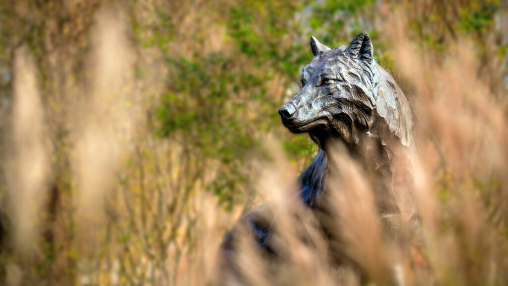 wolf statue in a field of tall grass