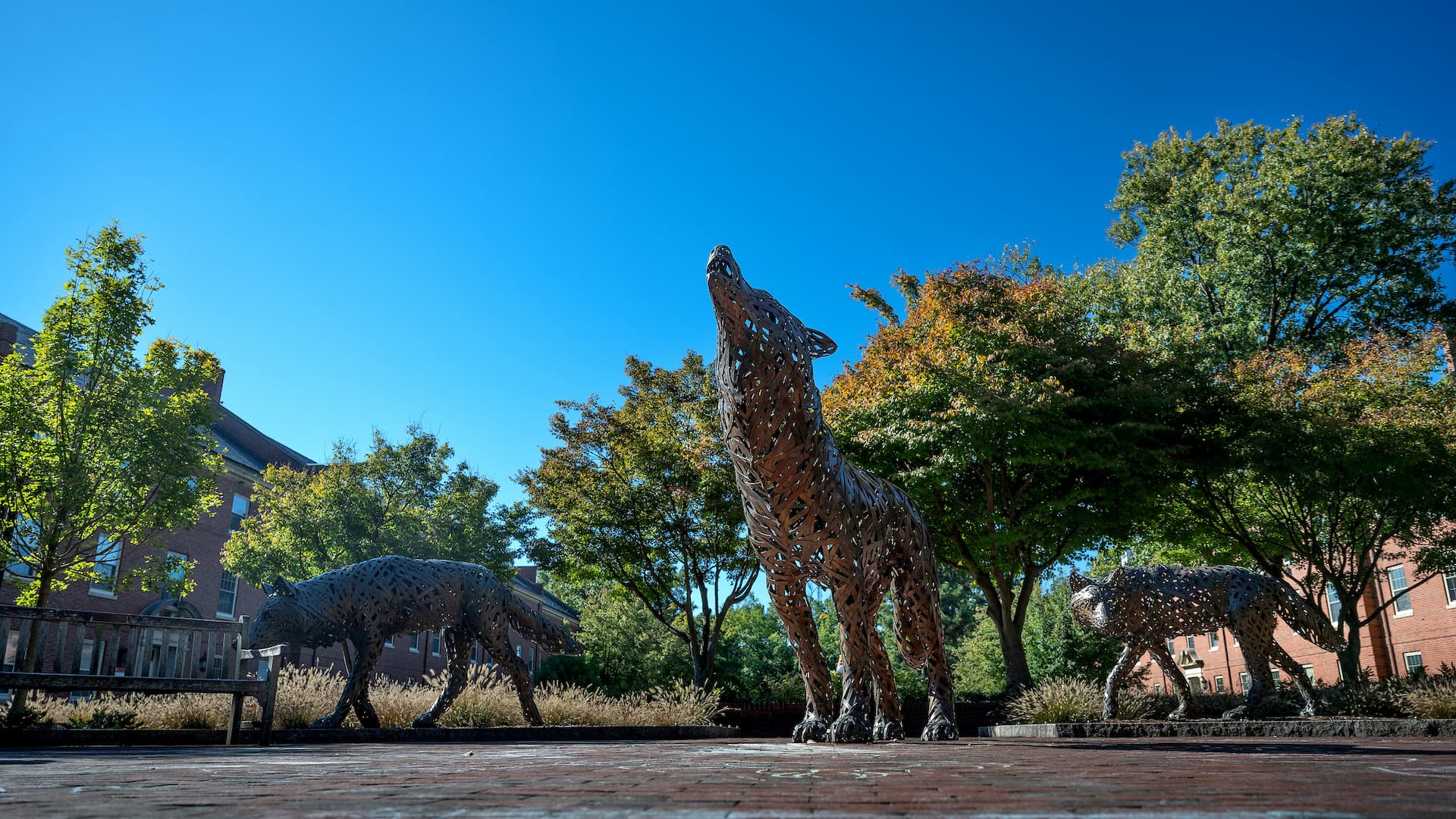 Copper wolves howl at the blue sky on NC State's campus.
