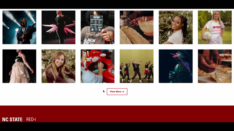 Animated GIF demonstrating how the thumbnail gallery block works