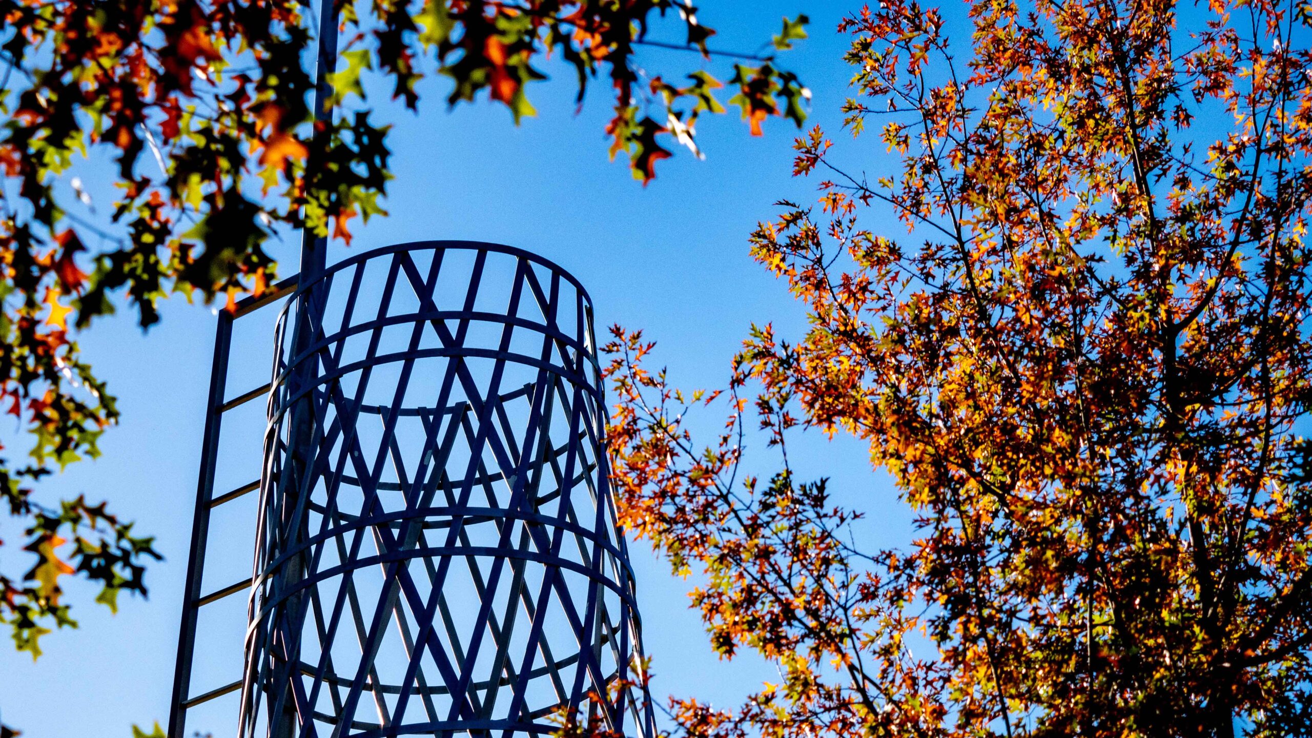 Fall leaves frame the Technology Tower at the Talley Student Union. Photo by Becky Kirkland.
