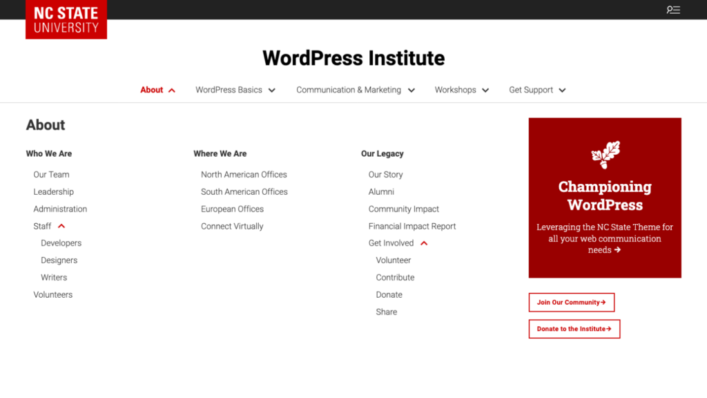A screenshot example of an expanded mega menu