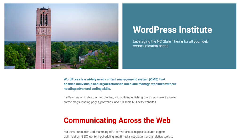 Screenshot of statement styling for a paragraph