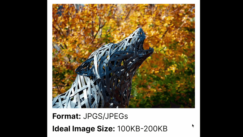 Animated GIF showing the image file type and size required for upload.