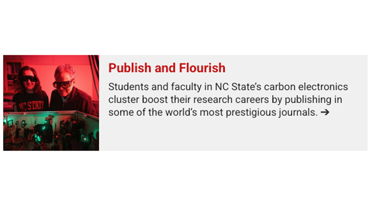 Image accompanying article preview.