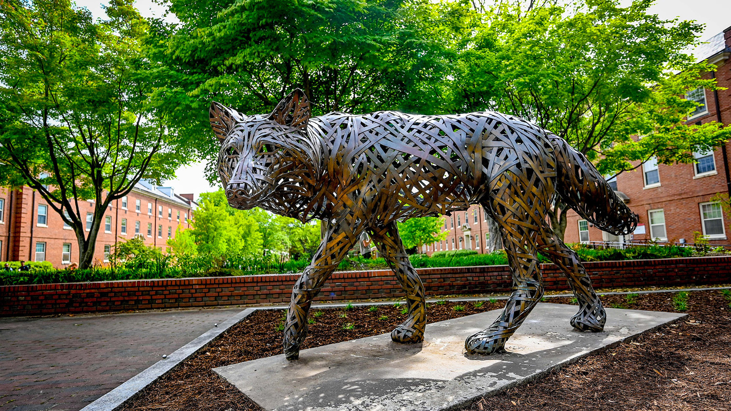 A copper wolf on NC State's main campus.