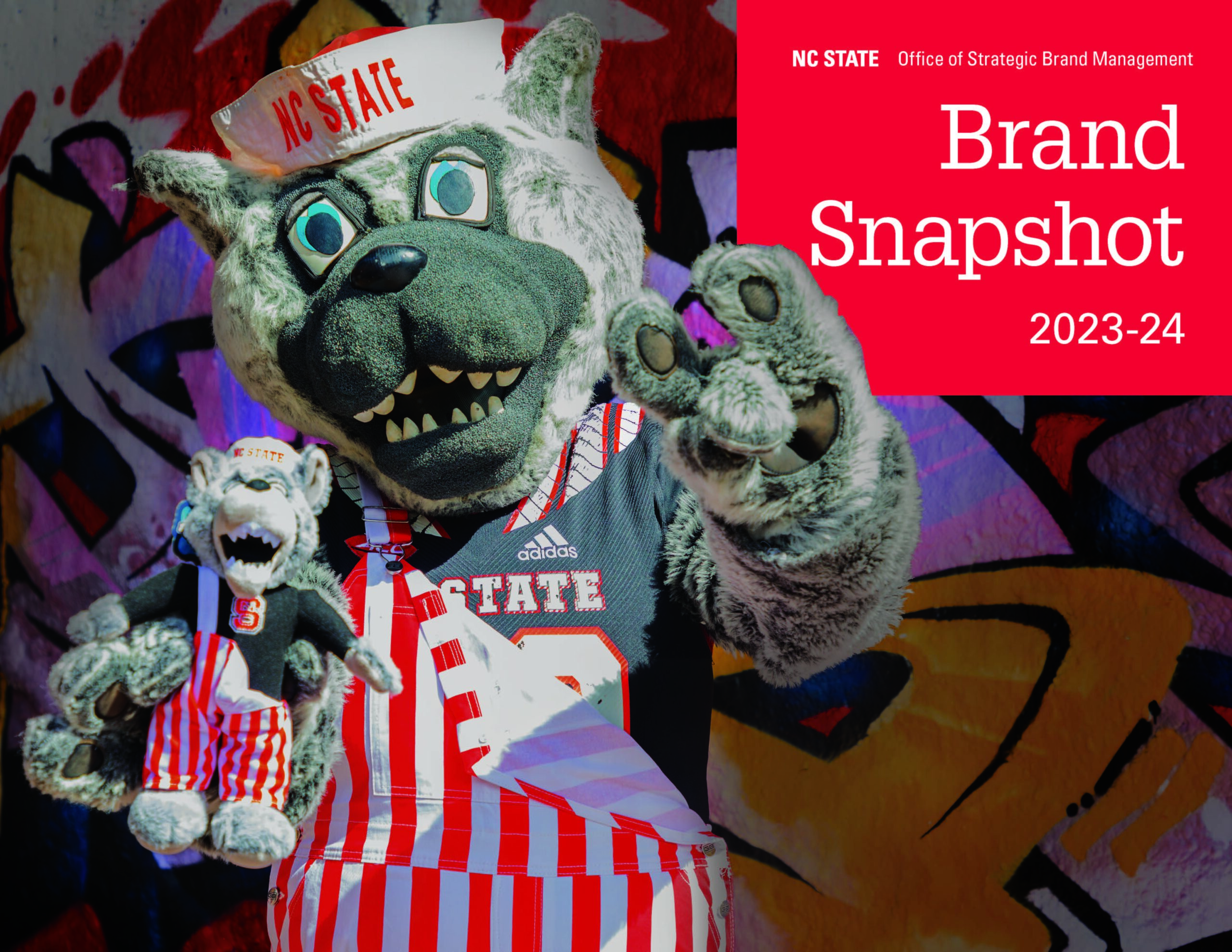 2023-2024 Brand Snapshot